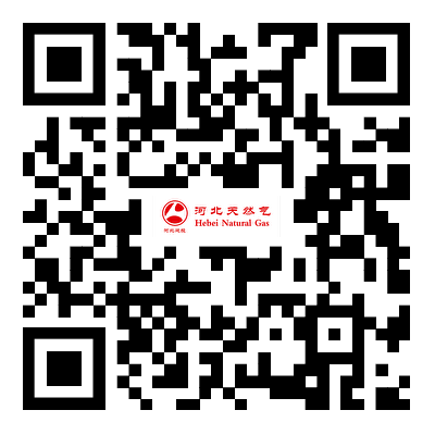 1773824381370654.png 天然气.png